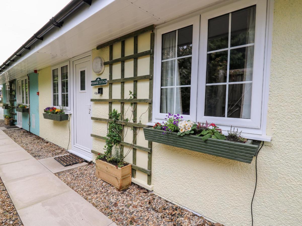 Primrose Cottage Llandrindod Wells Exterior foto